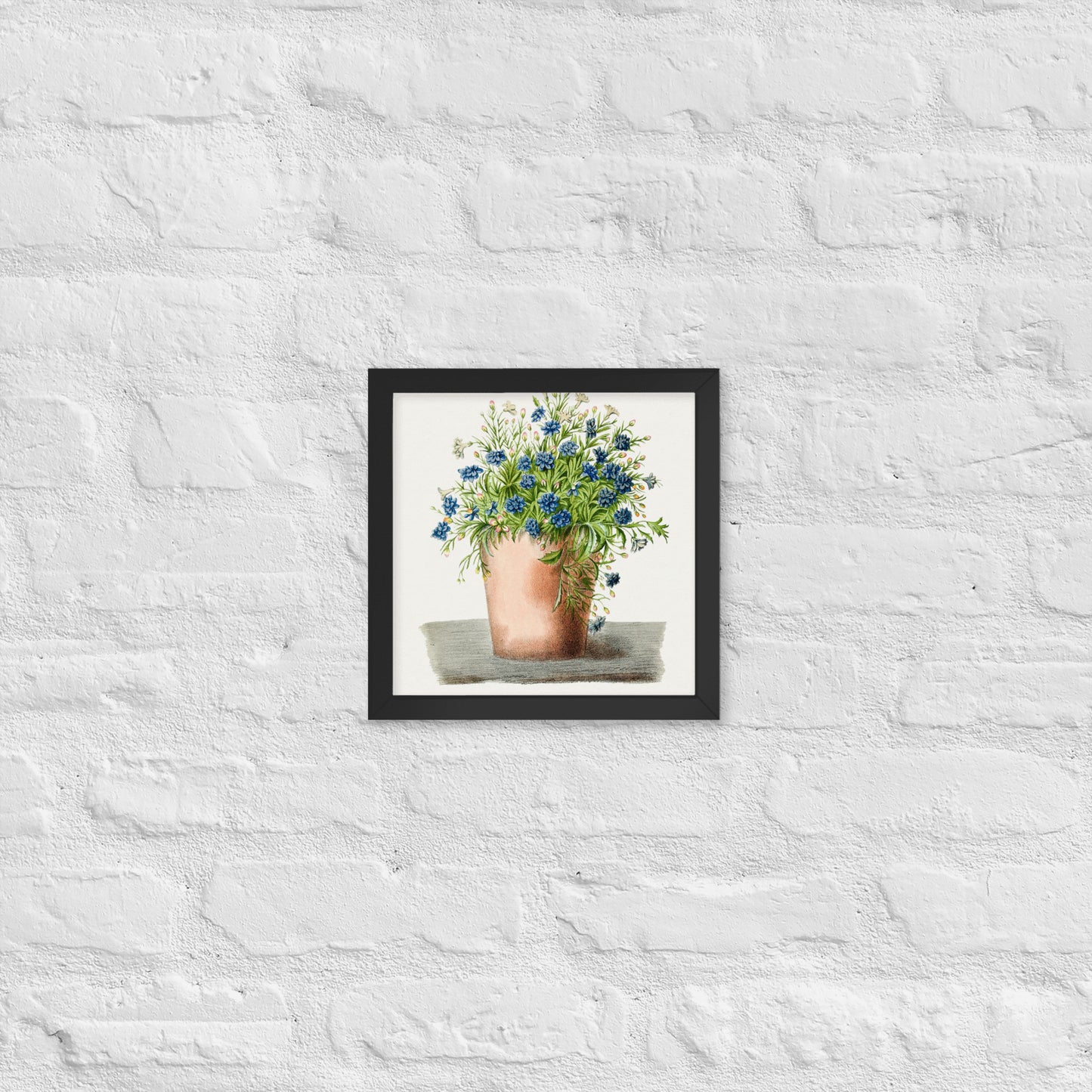 Hand drawn garden Lobelia in a pot