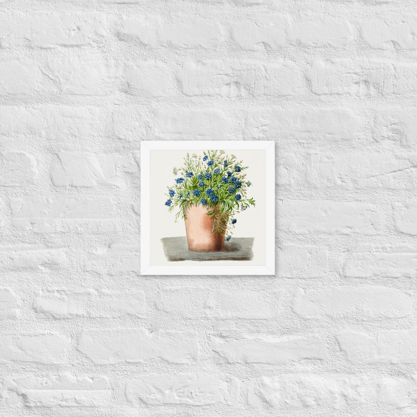 Hand drawn garden Lobelia in a pot