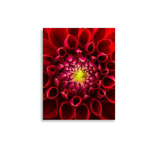 Flower on Canvas