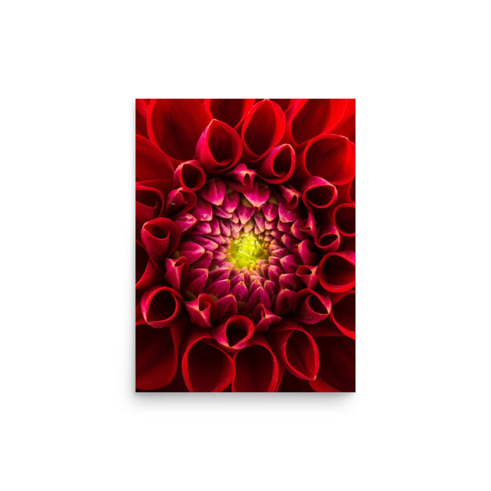 Flower on Canvas