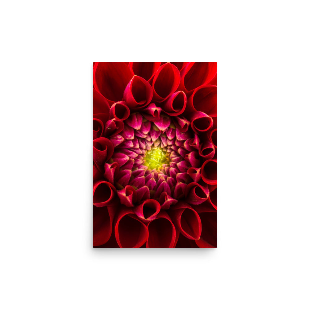 Flower on Canvas