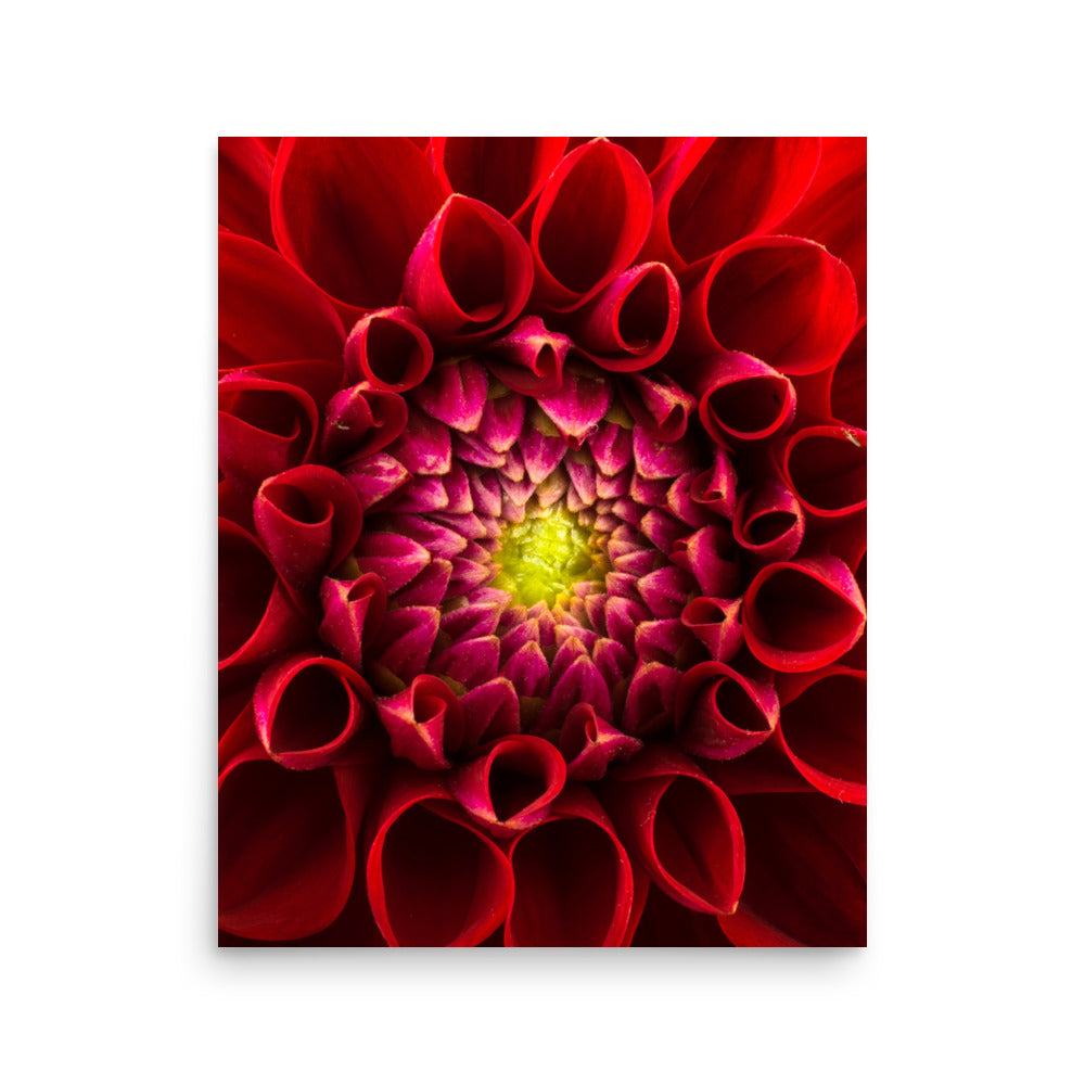 Flower on Canvas