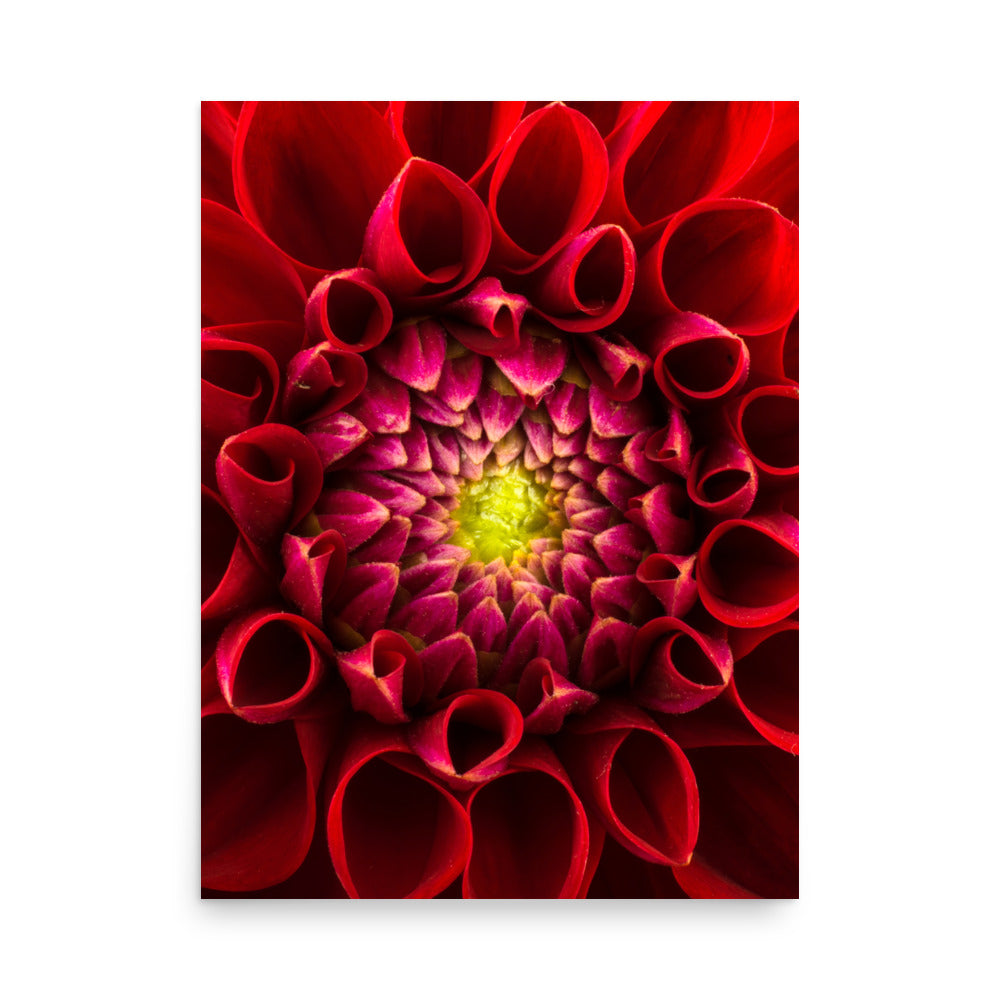 Flower on Canvas