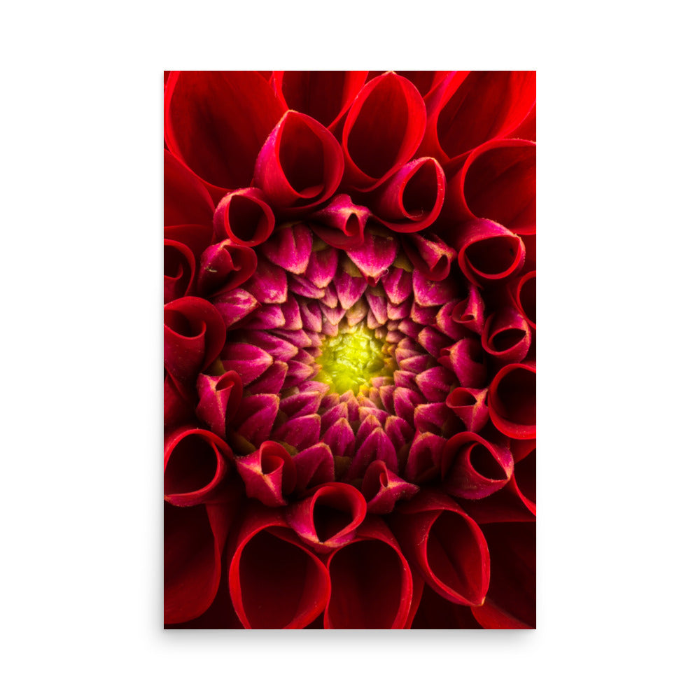 Flower on Canvas