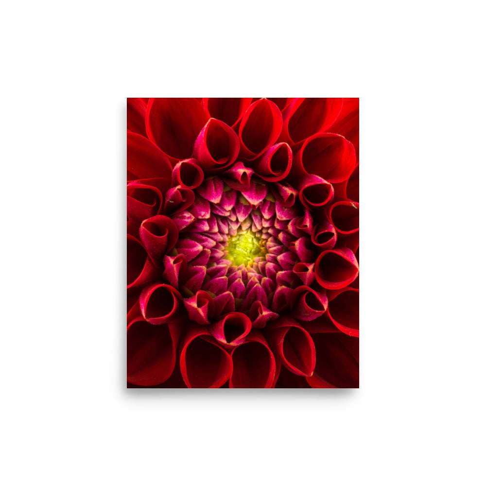 Flower on Canvas