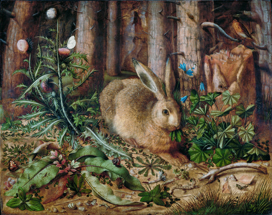 A hare in the Forest (1595) oainting byH.H original from G.Museum