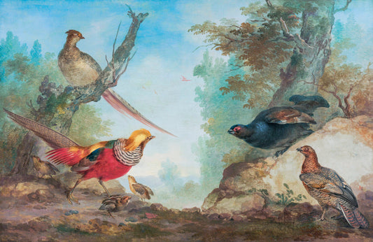 Pheasants (ca. 1730-1760) painting by Aert Schouman originally from the Rijksmuseum